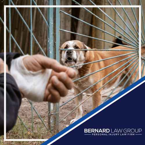 The Impact of "Beware of Dog" Signs on Injury Lawsuits